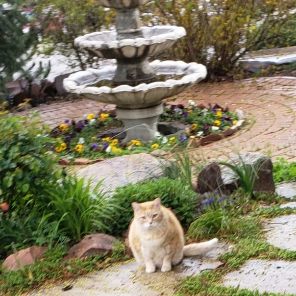 Meet your Posher, Kyi - Picture 1 of 1